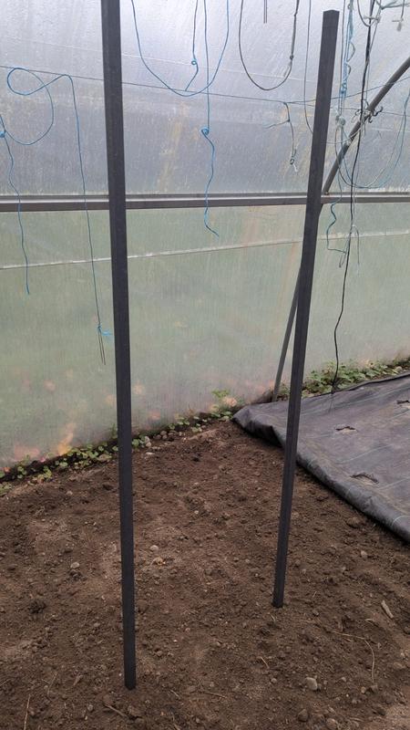 Ouvrir la fenêtre modale de l'avis 5 sur 5