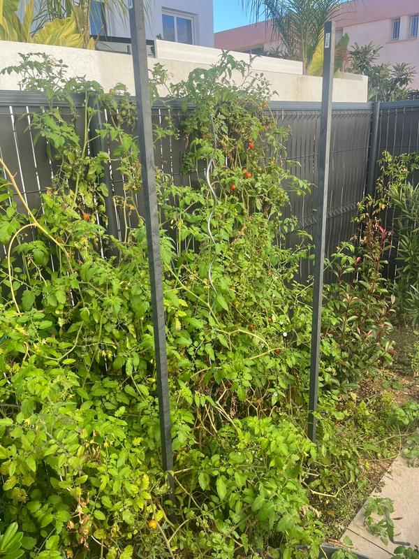 Ouvrir la fenêtre modale de l'avis 2 sur 2