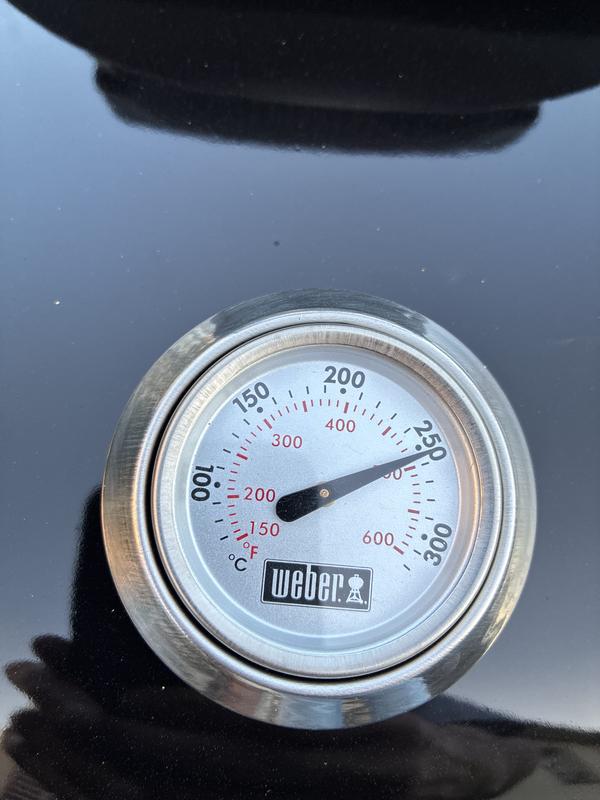 Revisione aperta modale 2 su 2