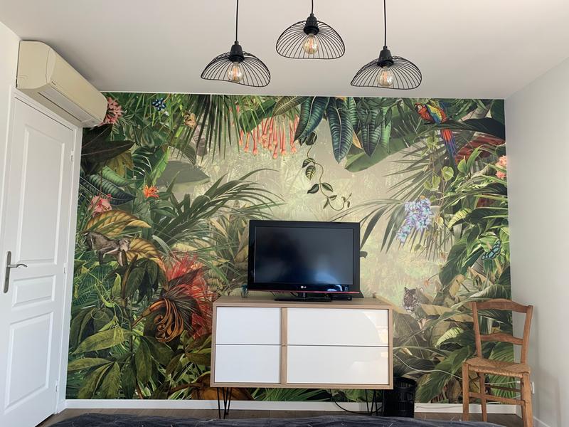 Revisione aperta modale 1 su 1