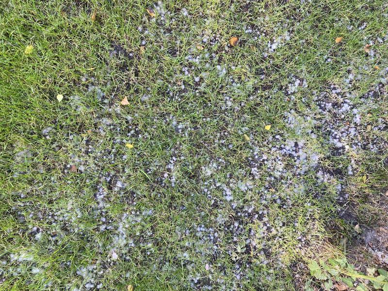 Ouvrir la fenêtre modale de l'avis 1 sur 5