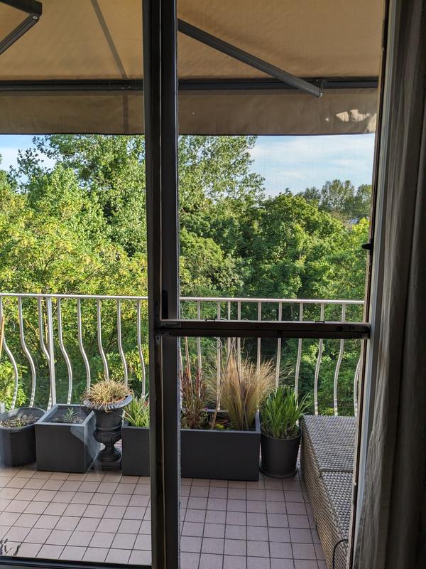 Ouvrir la fenêtre modale de l'avis 1 sur 1