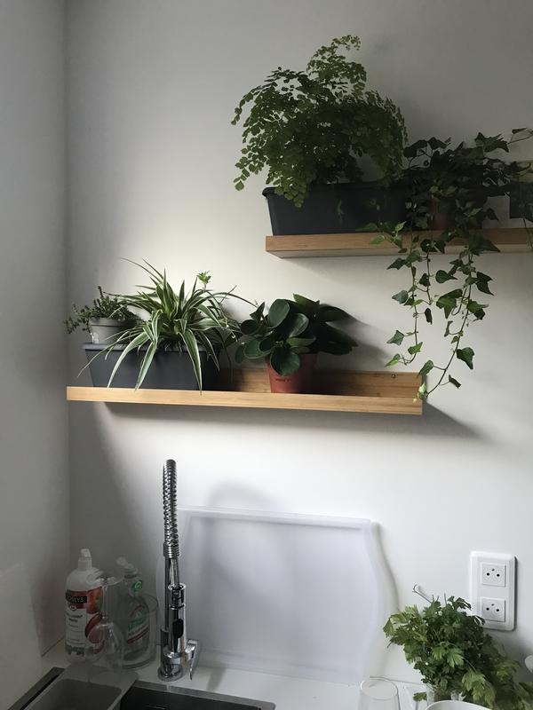 Ouvrir la fenêtre modale de l'avis 1 sur 1