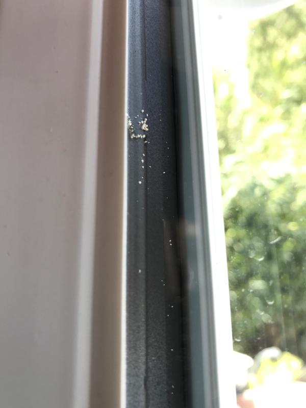 Ouvrir la fenêtre modale de l'avis 1 sur 1