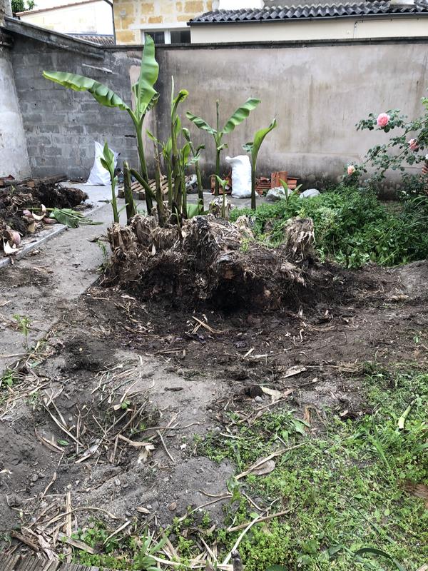 Ouvrir la fenêtre modale de l'avis 3 sur 3