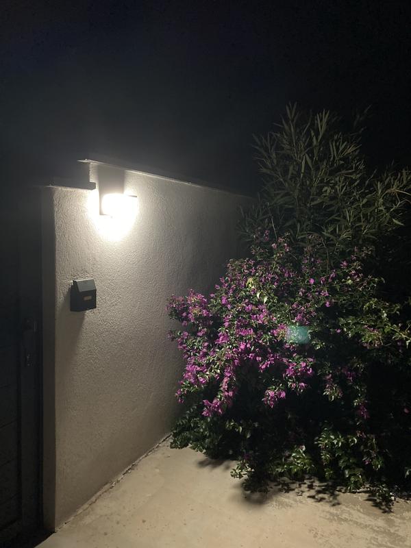 Ouvrir la fenêtre modale de l'avis 1 sur 1