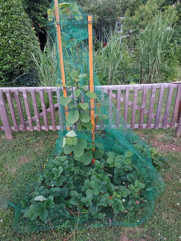 Ouvrir la fenêtre modale de l'avis 1 sur 1