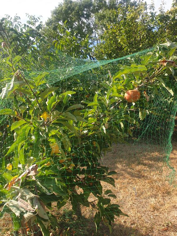 Ouvrir la fenêtre modale de l'avis 1 sur 1