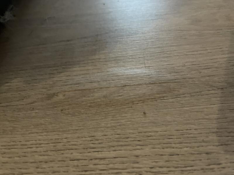 Revisione aperta modale 1 su 2