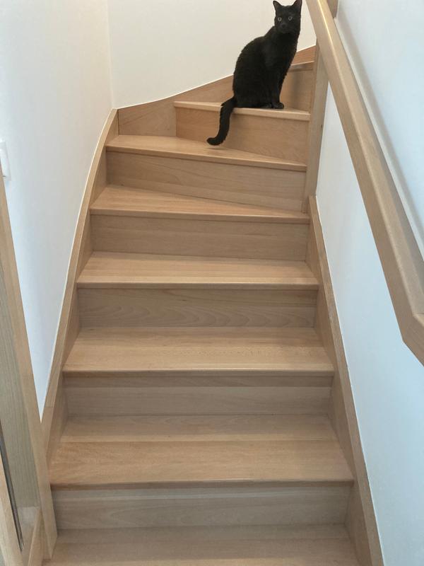 Ouvrir la fenêtre modale de l'avis 1 sur 1