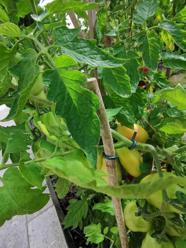 Abra o modal de avaliação 3 de 3