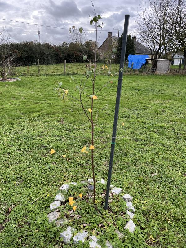 Ouvrir la fenêtre modale de l'avis 1 sur 3