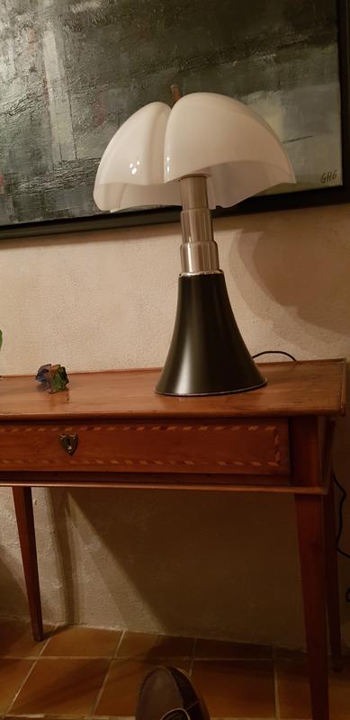 Revisione aperta modale 1 su 1