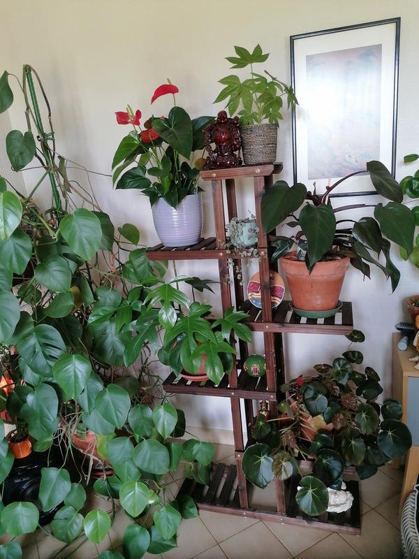 Ouvrir la fenêtre modale de l'avis 1 sur 1