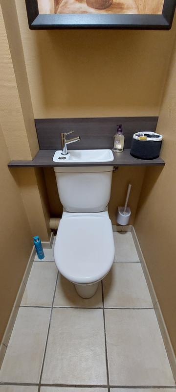 En 2018, j'ai testé le lave-mains incorporé au réservoir des WC