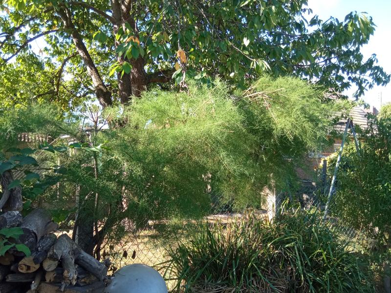 Ouvrir la fenêtre modale de l'avis 6 sur 6