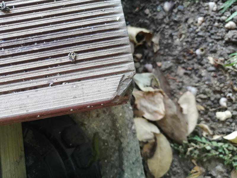 Ouvrir la fenêtre modale de l'avis 1 sur 2