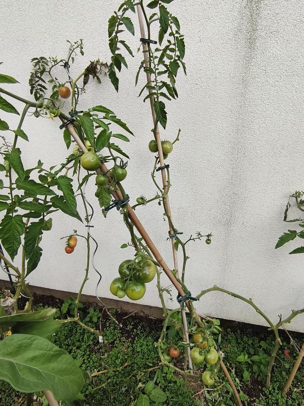Ouvrir la fenêtre modale de l'avis 1 sur 4