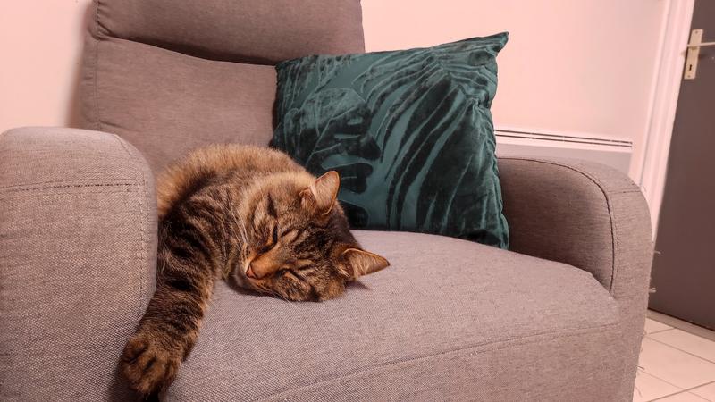 Abra o modal de avaliação 2 de 3