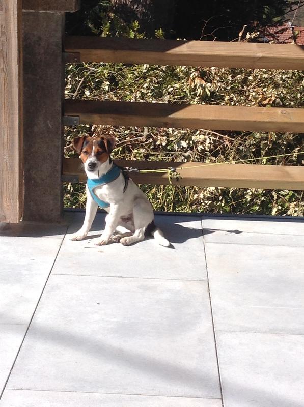 Abra o modal de avaliação 1 de 2