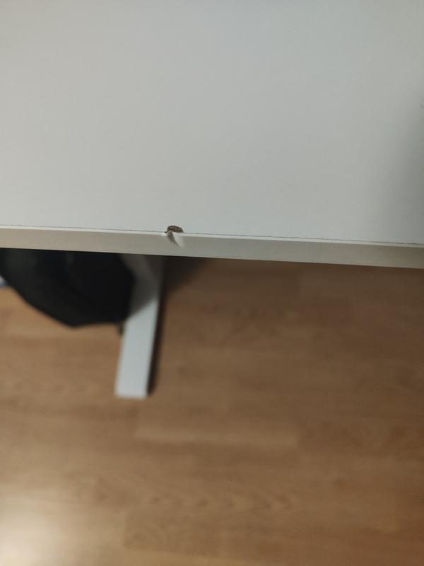 Ouvrir la fenêtre modale de l'avis 1 sur 1