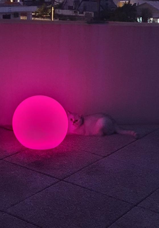 Revisione aperta modale 2 su 2