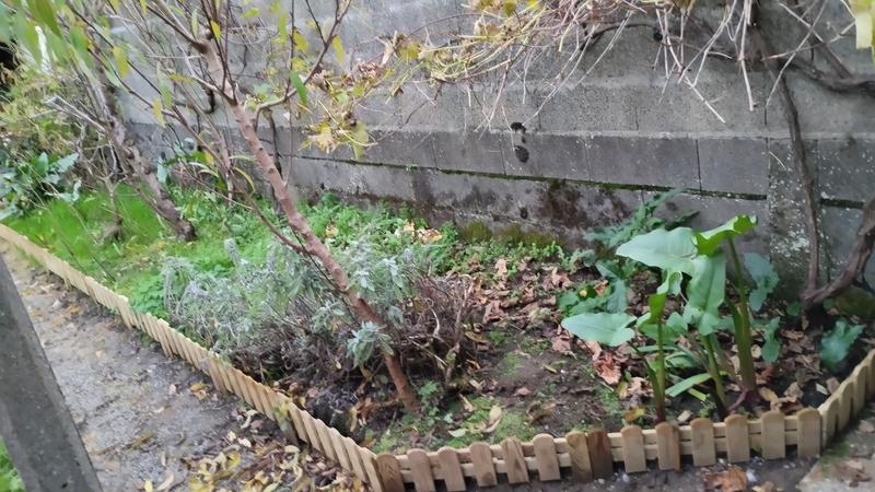 Ouvrir la fenêtre modale de l'avis 1 sur 1