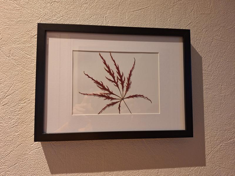 Abra o modal de avaliação 1 de 1