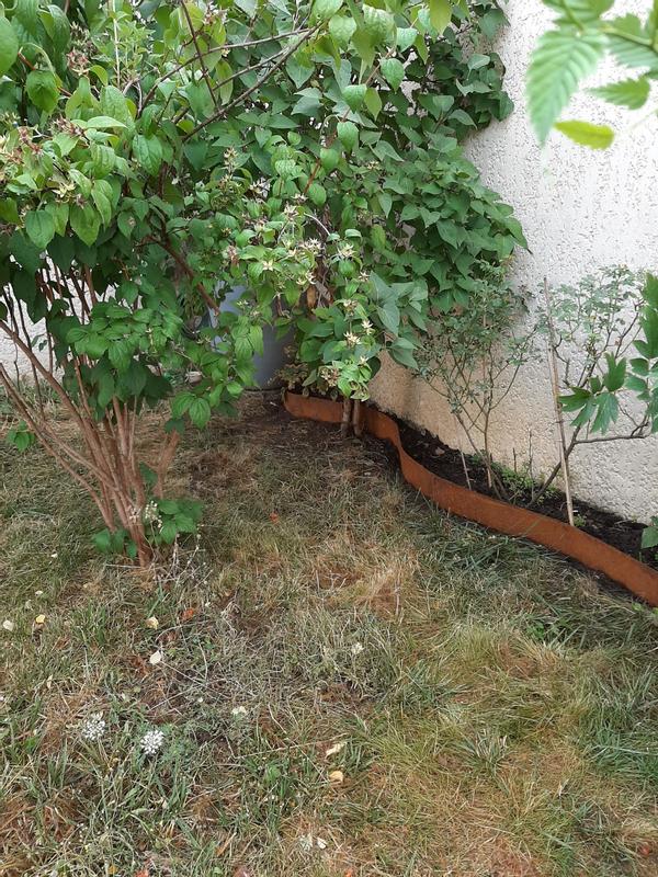 Ouvrir la fenêtre modale de l'avis 1 sur 1