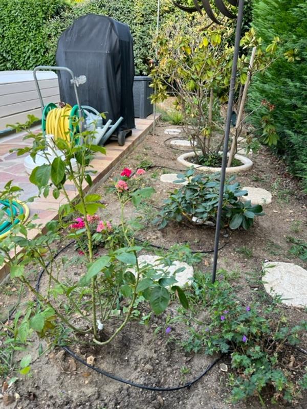 Ouvrir la fenêtre modale de l'avis 1 sur 1