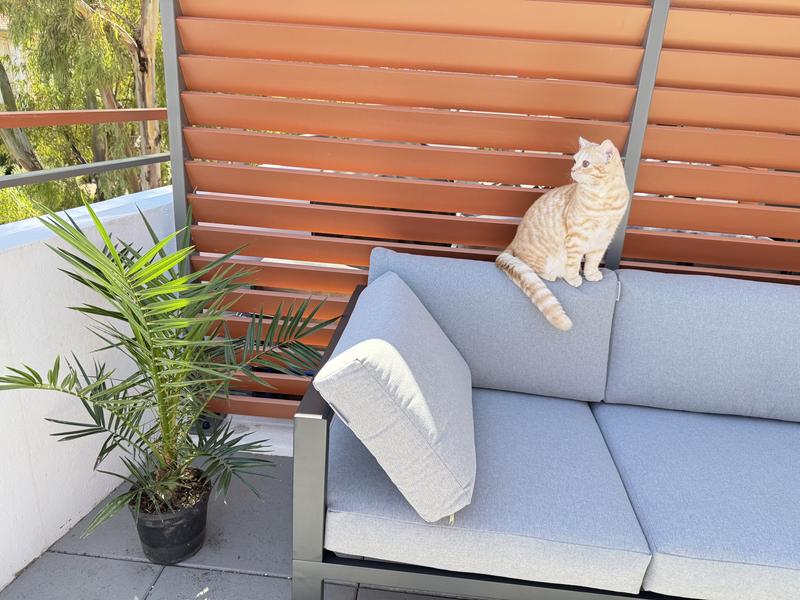 Ouvrir la fenêtre modale de l'avis 4 sur 6