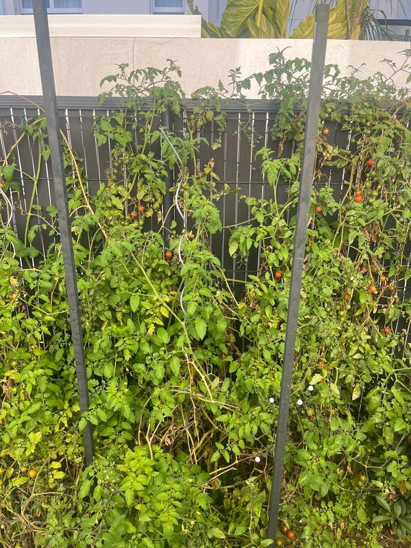 Ouvrir la fenêtre modale de l'avis 1 sur 2