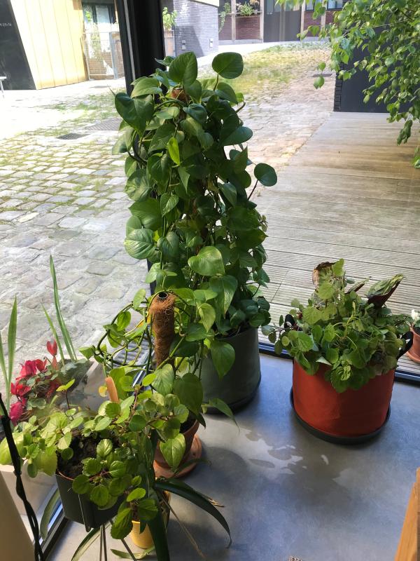 Ouvrir la fenêtre modale de l'avis 1 sur 1