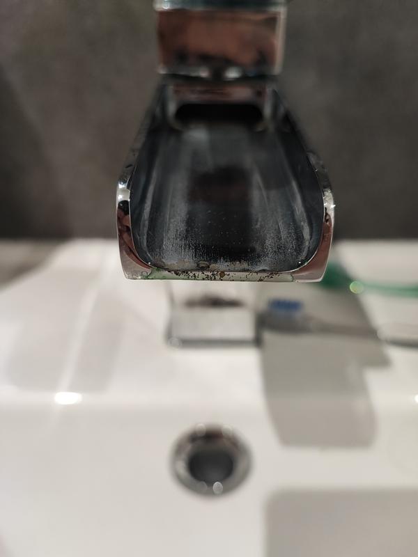 Revisione aperta modale 1 su 2