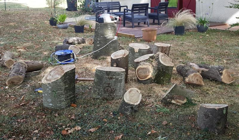 Ouvrir la fenêtre modale de l'avis 1 sur 1