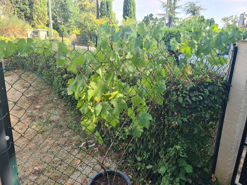 Abra o modal de avaliação 4 de 5