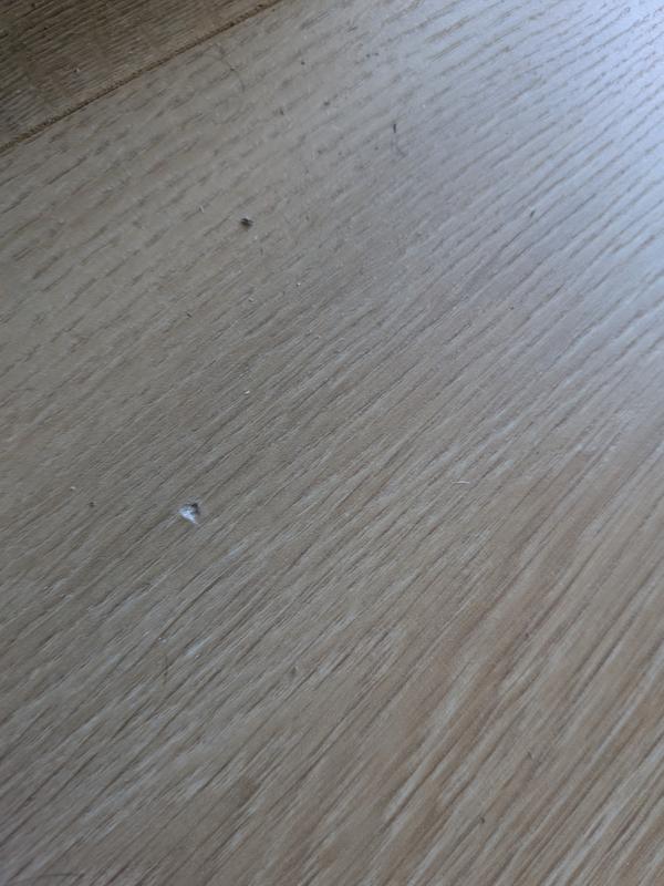 Otwórz okno opinii 1 na stronie 1