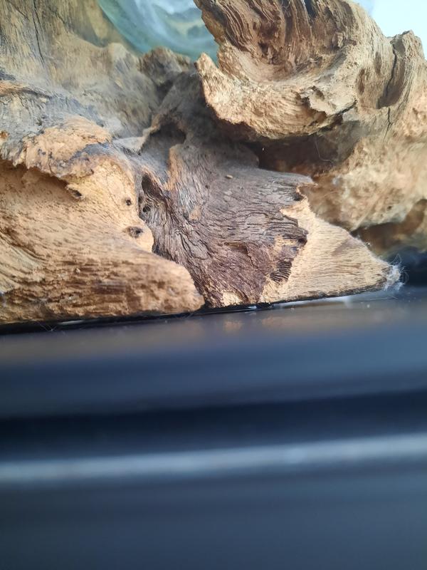 Otwórz okno opinii 2 na stronie 4