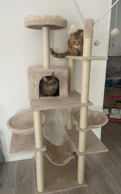 Revisione aperta modale 1 su 1