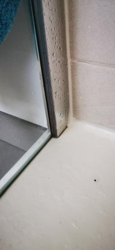 Revisione aperta modale 1 su 5