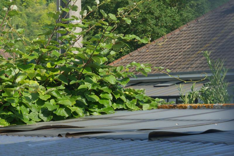 Ouvrir la fenêtre modale de l'avis 1 sur 1