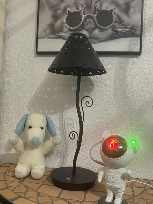 Revisione aperta modale 1 su 4