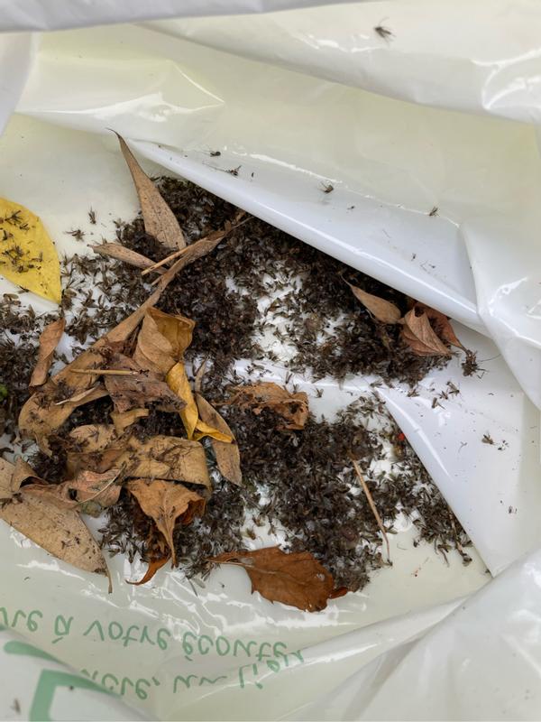 Ouvrir la fenêtre modale de l'avis 1 sur 1