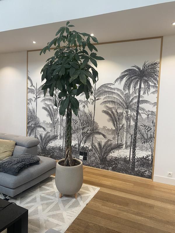 Ouvrir la fenêtre modale de l'avis 1 sur 1