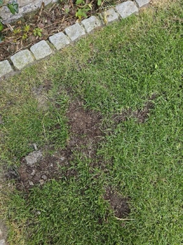 Ouvrir la fenêtre modale de l'avis 2 sur 2