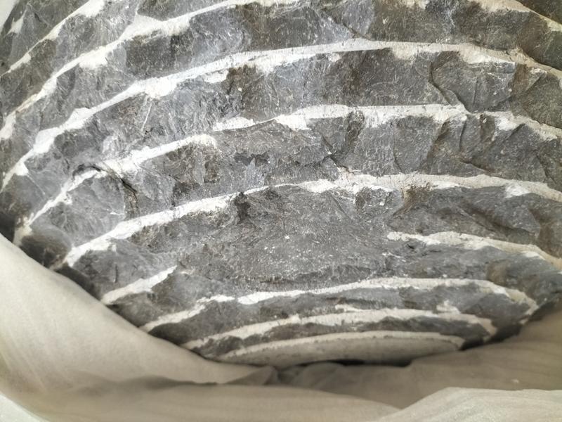 Ouvrir la fenêtre modale de l'avis 1 sur 3