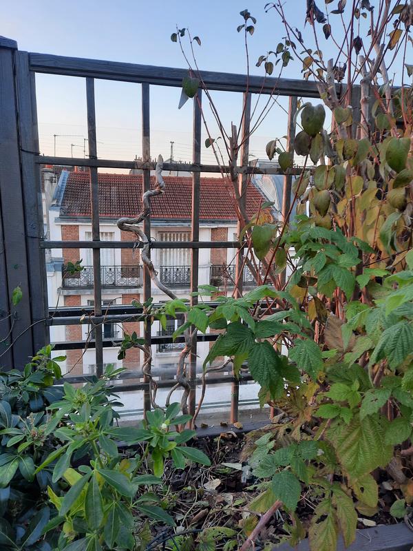 Ouvrir la fenêtre modale de l'avis 1 sur 1