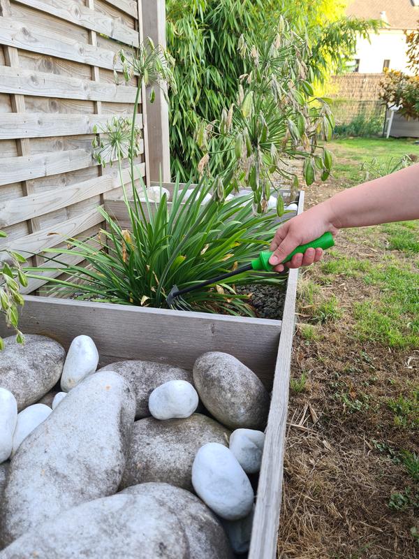 Revisione aperta modale 1 su 4