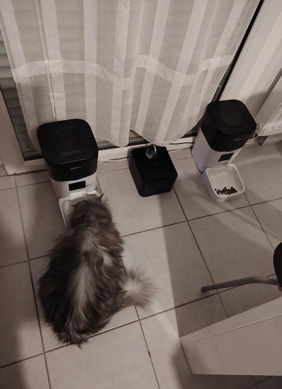 Ouvrir la fenêtre modale de l'avis 1 sur 1