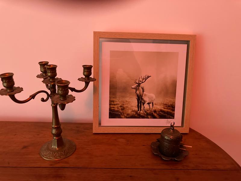 Ouvrir la fenêtre modale de l'avis 1 sur 1